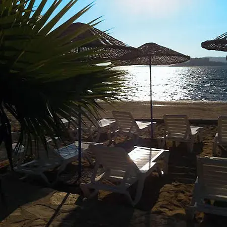 فندق Marvel غوفرجينليك