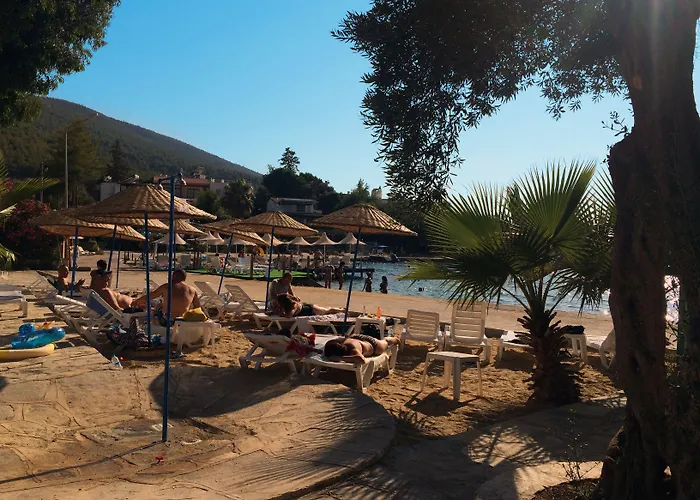 Marvel Guvercinlik (Bodrum)